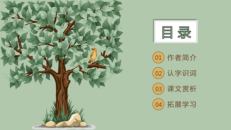 部编版五年级语文上册《鸟的天堂》PPT课件 (11)02