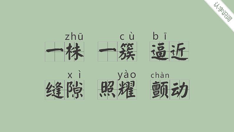 部编版五年级语文上册《鸟的天堂》PPT课件 (11)08