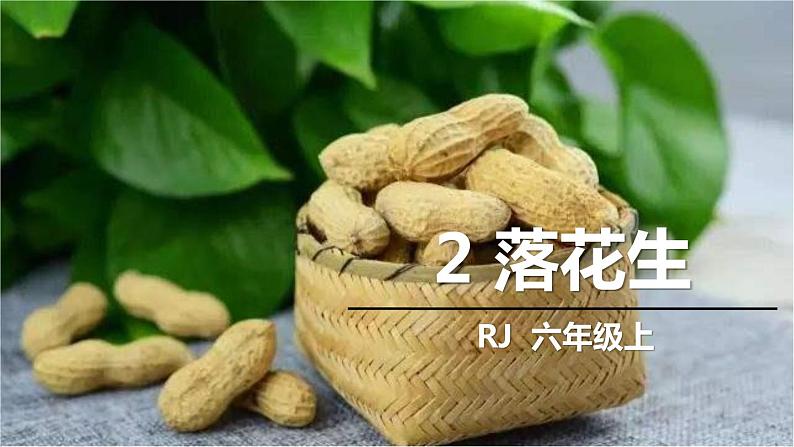 部编版五年级语文上册《落花生》PPT优秀课件 (10)第1页