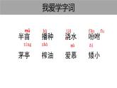 部编版五年级语文上册《落花生》PPT优秀课件 (8)
