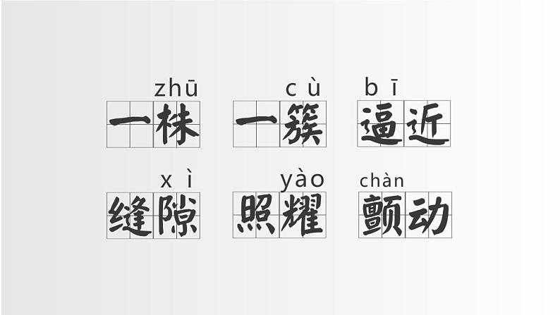 部编版五年级语文上册《鸟的天堂》PPT课件 (12)第8页