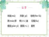 部编版五年级语文上册《落花生》PPT优秀课件 (5)