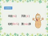 部编版五年级语文上册《落花生》PPT优秀课件 (4)