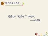 部编版五年级语文上册《太阳》PPT优质课件 (13)