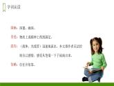 部编版五年级语文上册《珍珠鸟》PPT课文课件 (5)