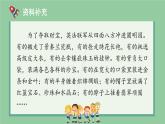 部编版五年级语文上册《圆明园的毁灭》PPT优秀课件 (16)