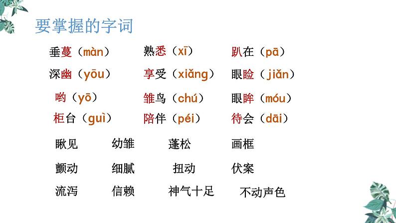 部编版 五年级语文上册 4《珍珠鸟》课件(20张PPT)第5页