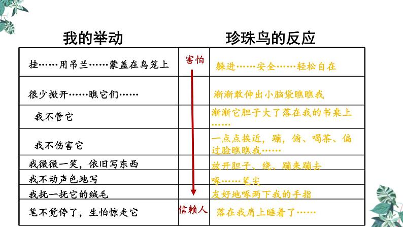 部编版 五年级语文上册 4《珍珠鸟》课件(20张PPT)第7页