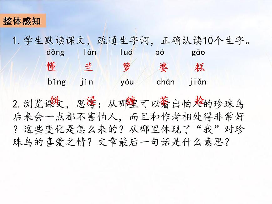 部编版五年级语文上册 4《珍珠鸟》课件 (11张PPT)第5页