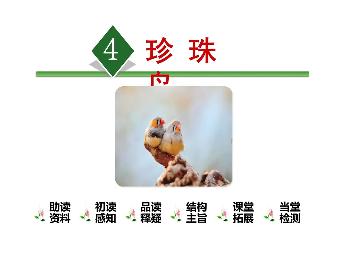 部编版五年级语文上册 4《珍珠鸟》课件 (43张PPT)第1页