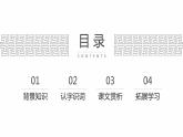 部编版五年级语文上册《圆明园的毁灭》PPT优秀课件 (11)