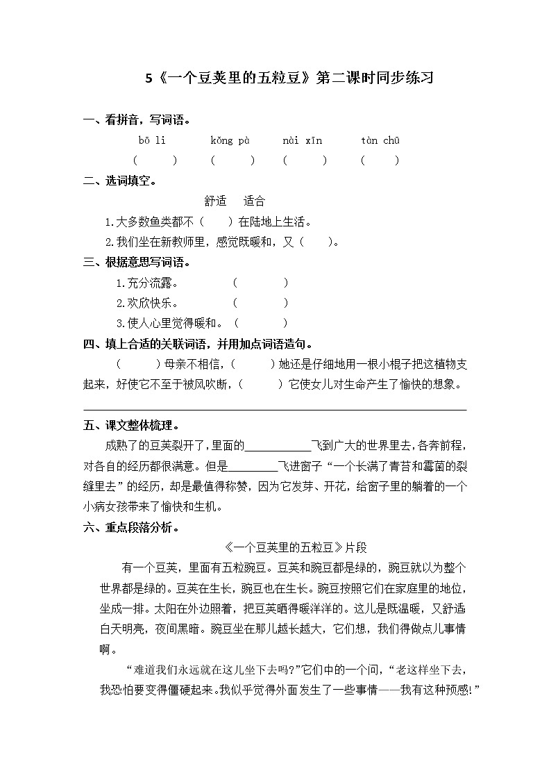 5《一个豆荚里的五粒豆》第二课时课件+教案+练习01