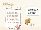 2部编版五年级上册语文.落花生课件+素材