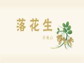 2部编版五年级上册语文.落花生课件+素材