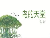 23.部编版五年级上册语文鸟的天堂课件+素材