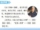 23.部编版五年级上册语文鸟的天堂课件+素材