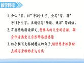 23.部编版五年级上册语文鸟的天堂课件+素材