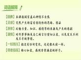 20部编版五年级上册语文.“精彩极了”和“糟糕透了”课件+素材