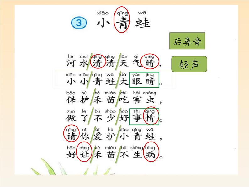 部编版语文一年级下册-01识字（一）-03小青蛙-课件06第3页