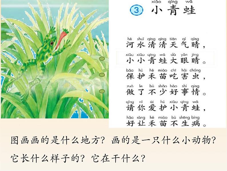 部编版语文一年级下册-01识字（一）-03小青蛙-课件06第4页