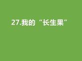 部编版五年级语文上册《我的“长生果”》PPT优质课件 (7)