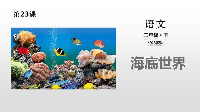 部编版三年级语文下册《海底世界》PPT课件 (5)第1页