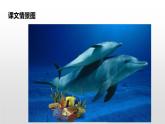 部编版三年级语文下册《海底世界》PPT课件 (5)