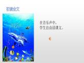 部编版三年级语文下册《海底世界》PPT课件 (5)