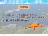部编版三年级语文下册《海底世界》PPT课件 (1)