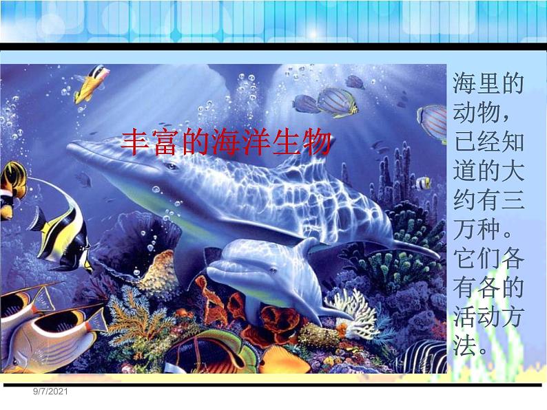 部编版三年级语文下册《海底世界》PPT课件 (1)08