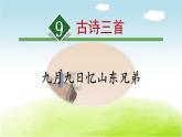 部编版三年级语文下册《九月九日忆山东兄弟》PPT课件 (6)