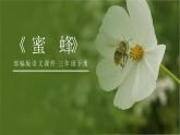 部编版三年级语文下册《蜜蜂》PPT课件 (3)