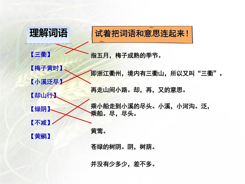 部编版三年级语文下册《三衢道中》古诗三首PPT课件 (1)第8页