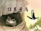 13. 寒号鸟（第二课时）课件PPT