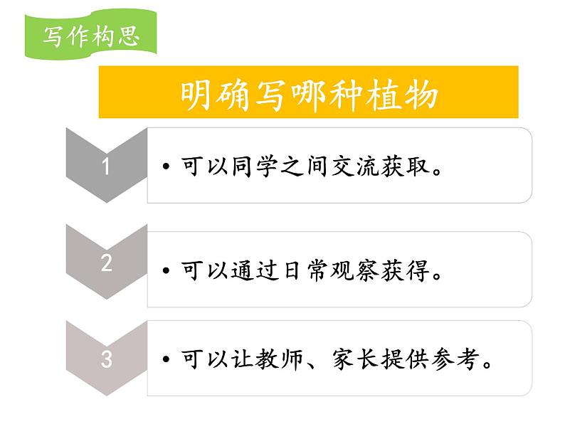 部编版三年级语文下册《我的植物朋友》PPT课件 (4)第8页