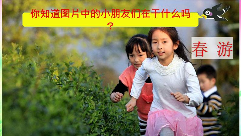 部编版三年级语文下册《口语交际：春游去哪儿玩》PPT课件 (3)第5页