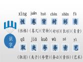 部编版三年级语文下册《慢性子裁缝和急性子顾客》PPT优质课件 (1)