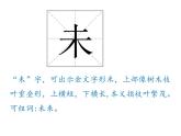 部编版三年级语文下册《小虾》PPT课文课件 (1)