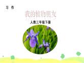 部编版三年级语文下册《我的植物朋友》PPT优秀课件 (1)