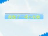 部编版三年级语文下册《我做了一项小实验》PPT精品课件 (4)