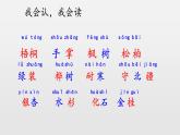 树之歌第一课时课件PPT