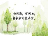 树之歌第一课时课件PPT