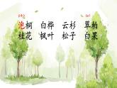 树之歌第二课时课件PPT