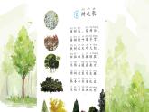 树之歌第二课时课件PPT