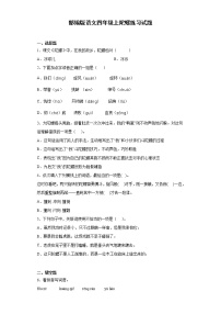 小学语文人教部编版四年级上册20 陀螺测试题