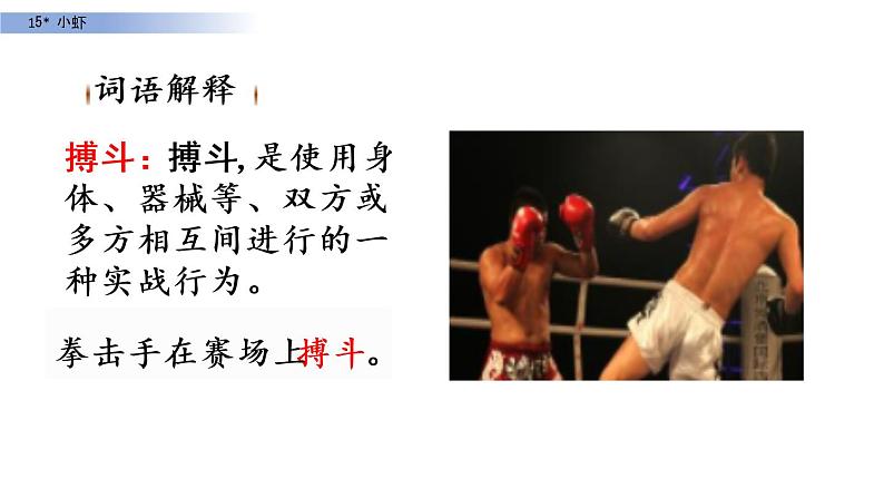 部编版三年级语文下册《小虾》PPT课文课件 (5)第8页