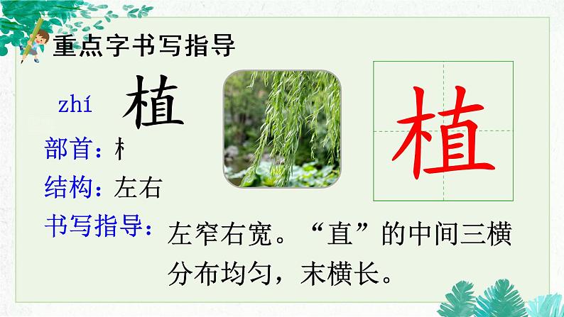 部编版二年级语文下册《邓小平爷爷植树》PPT课件 (6)第7页