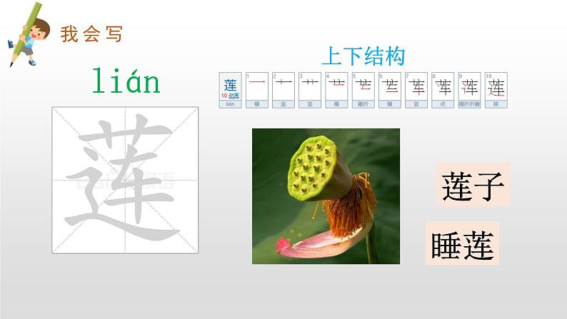 部编版二年级语文下册《古诗两首》《晓出净慈寺送林子方》《绝句》PPT课件 (7)第8页