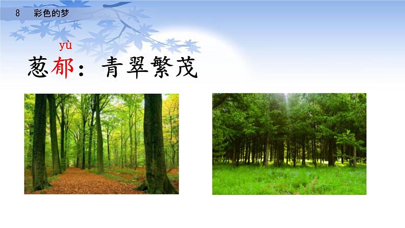 部编版二年级语文下册《彩色的梦》PPT课件 (2)08