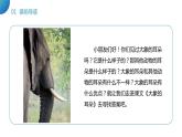 部编版二年级语文下册《大象的耳朵》PPT教学课件 (6)